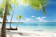 Caribbean Sea and Coconut