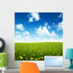 field of spring flowers and perfect sky Wall Mural