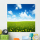 field of spring flowers and perfect sky Wall Mural