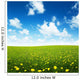 field of spring flowers and perfect sky Wall Mural