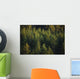 Spruce Tree Forest In Autumn, Kodiak Island, Southwest Alaska Wall Mural