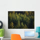 Spruce Tree Forest In Autumn, Kodiak Island, Southwest Alaska Wall Mural