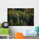 Spruce Tree Forest In Autumn, Kodiak Island, Southwest Alaska Wall Mural