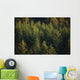 Spruce Tree Forest In Autumn, Kodiak Island, Southwest Alaska Wall Mural