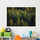 Spruce Tree Forest In Autumn, Kodiak Island, Southwest Alaska Wall Mural