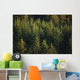 Spruce Tree Forest In Autumn, Kodiak Island, Southwest Alaska Wall Mural