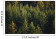 Spruce Tree Forest In Autumn, Kodiak Island, Southwest Alaska Wall Mural