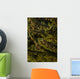 Close Up Of Spruce Tree, Autumn, Kodiak Island, Southwest Alaska Wall Mural