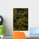 Close Up Of Spruce Tree, Autumn, Kodiak Island, Southwest Alaska Wall Mural