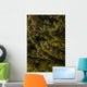 Close Up Of Spruce Tree, Autumn, Kodiak Island, Southwest Alaska Wall Mural