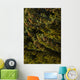 Close Up Of Spruce Tree, Autumn, Kodiak Island, Southwest Alaska Wall Mural