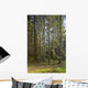Spruce Tree Forest In Autumn, Kodiak Island, Southwest Alaska Wall Mural