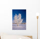 Hoarfrost Covered Birch Tree Wall Decal