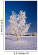 Hoarfrost Covered Birch Tree Wall Decal