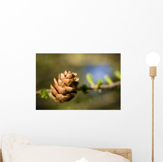 Macro Larch Needles and Wall Decal