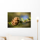 Macro Larch Needles and Wall Decal