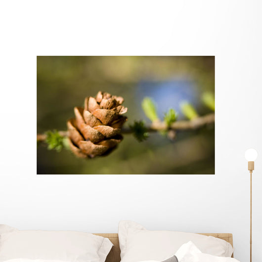 Macro Larch Needles and Wall Decal