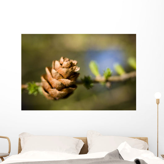 Macro Larch Needles and Wall Decal