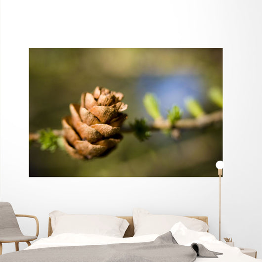 Macro Larch Needles and Wall Decal