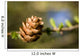 Macro Larch Needles and Wall Decal