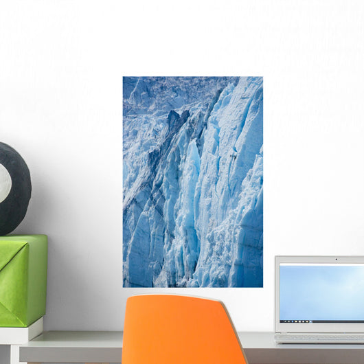 Ice Detail Harriman Glacier Wall Decal Design 3