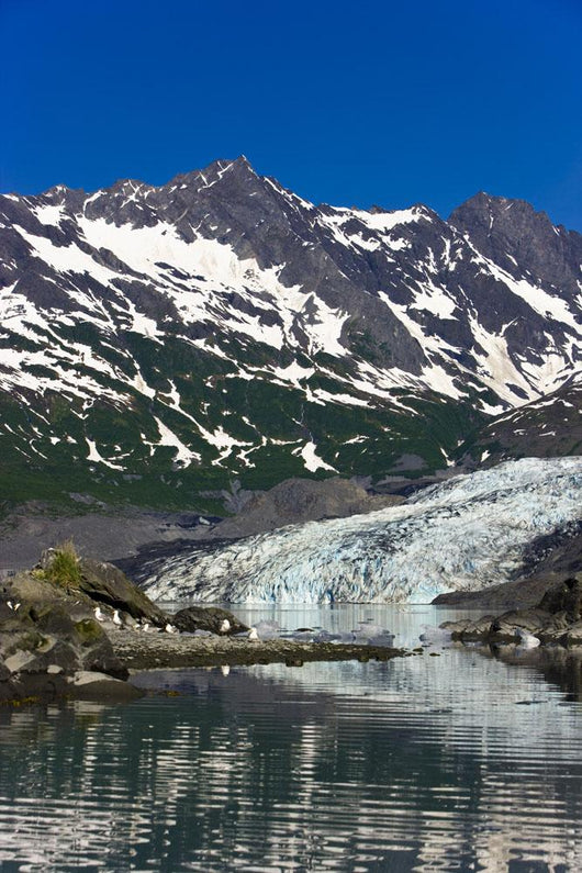 Shoup Glacier Reflected Waters Wall Decal