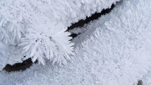 Up Hoar Frost Wall Decal Design 3