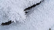 Up Hoar Frost Wall Decal Design 3