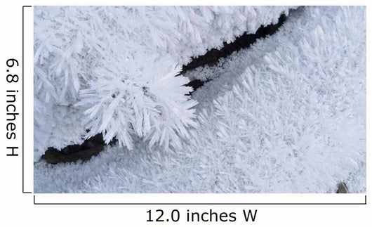 Up Hoar Frost Wall Decal Design 3