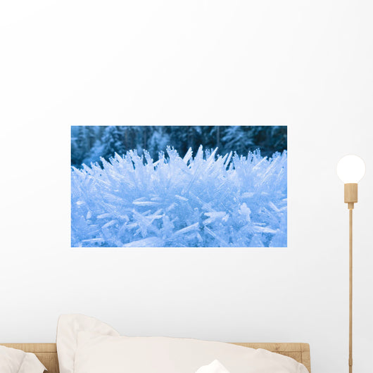 Up Hoar Frost Wall Decal Design 2