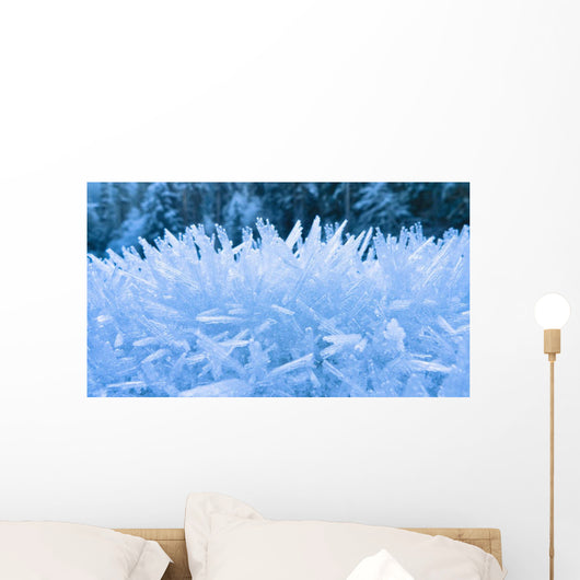 Up Hoar Frost Wall Decal Design 2