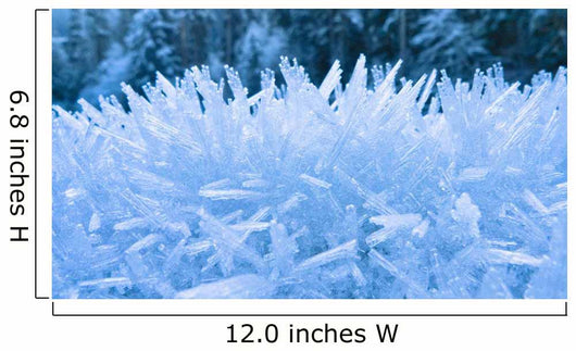 Up Hoar Frost Wall Decal Design 2