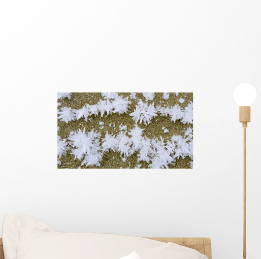 Up Hoar Frost Wall Decal Design 1