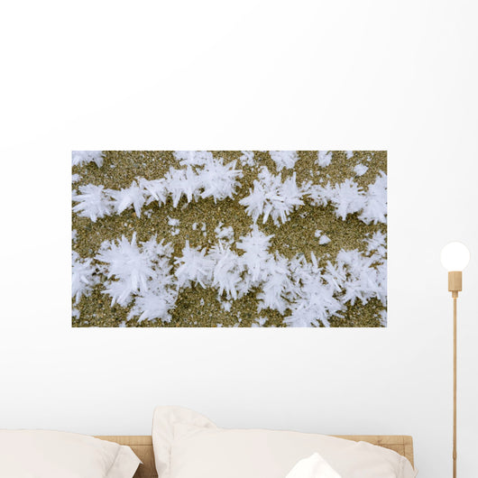 Up Hoar Frost Wall Decal Design 1