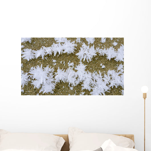 Up Hoar Frost Wall Decal Design 1