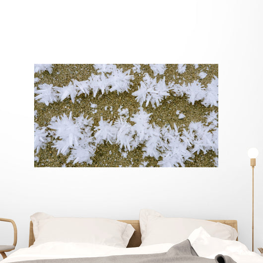 Up Hoar Frost Wall Decal Design 1