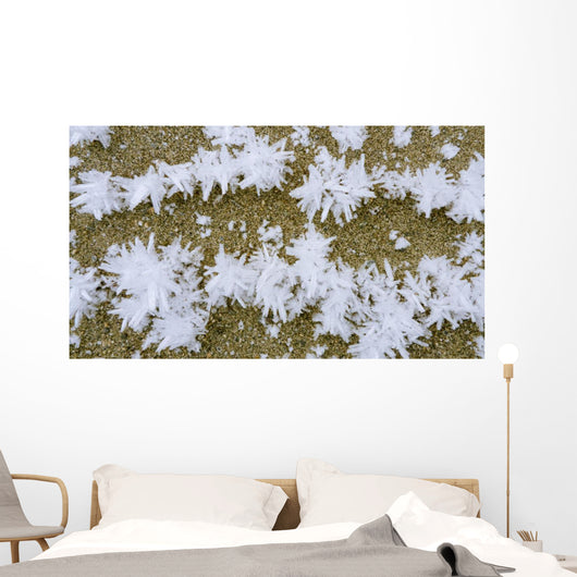 Up Hoar Frost Wall Decal Design 1