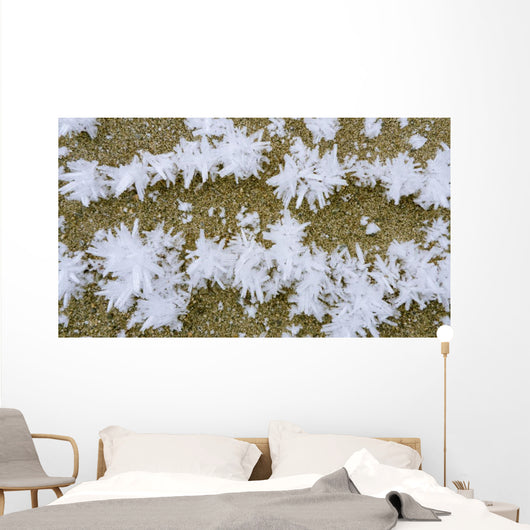 Up Hoar Frost Wall Decal Design 1