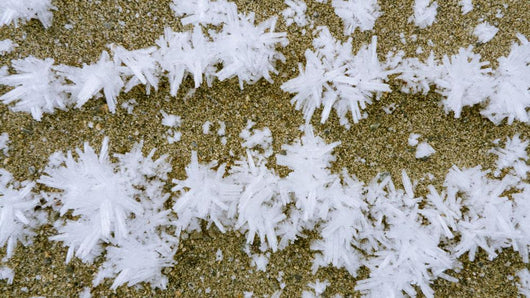 Up Hoar Frost Wall Decal Design 1