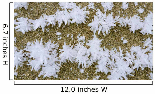 Up Hoar Frost Wall Decal Design 1