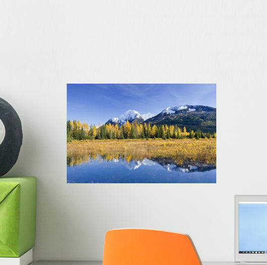 Fall Foliage Reflecting Wall Decal