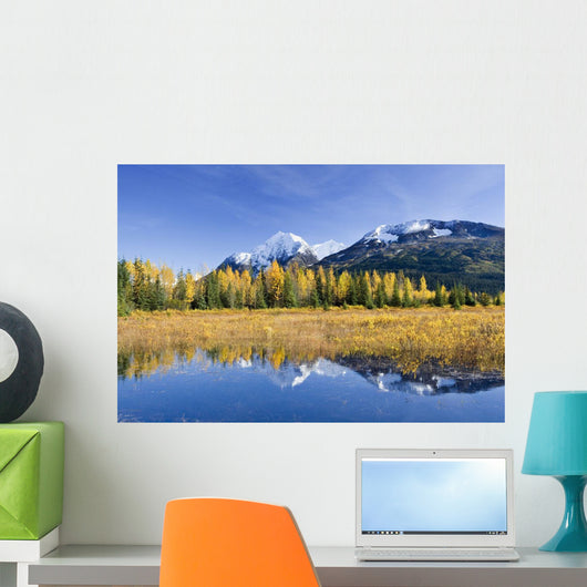 Fall Foliage Reflecting Wall Decal