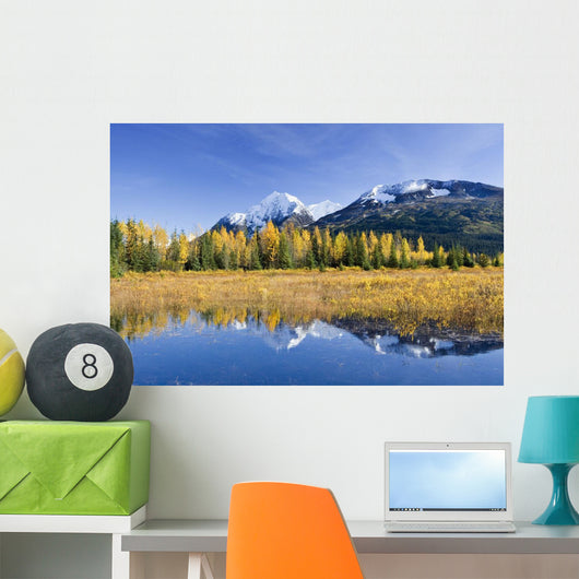 Fall Foliage Reflecting Wall Decal