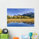 Fall Foliage Reflecting Wall Decal