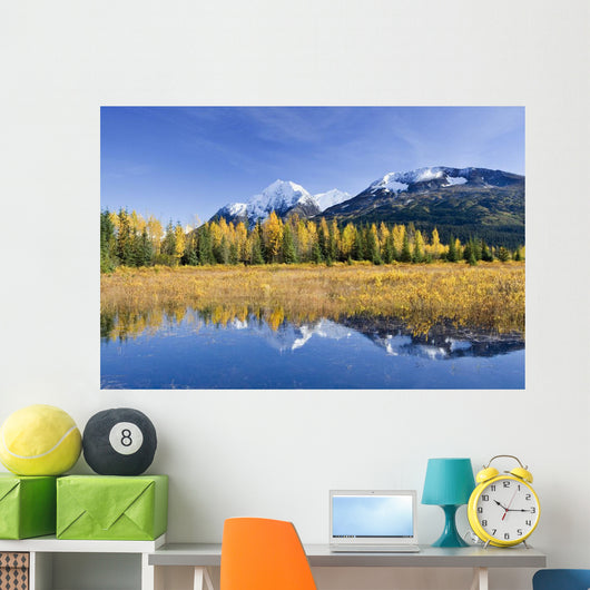 Fall Foliage Reflecting Wall Decal