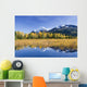 Fall Foliage Reflecting Wall Decal