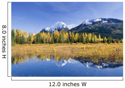 Fall Foliage Reflecting Wall Decal