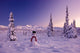 Alaska USA Wall Decal