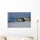 Adelie Penguins Jump from Wall Decal