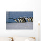 Adelie Penguins Jump from Wall Decal